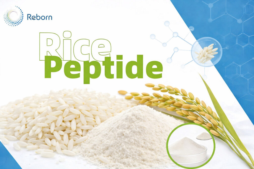 rice peptide