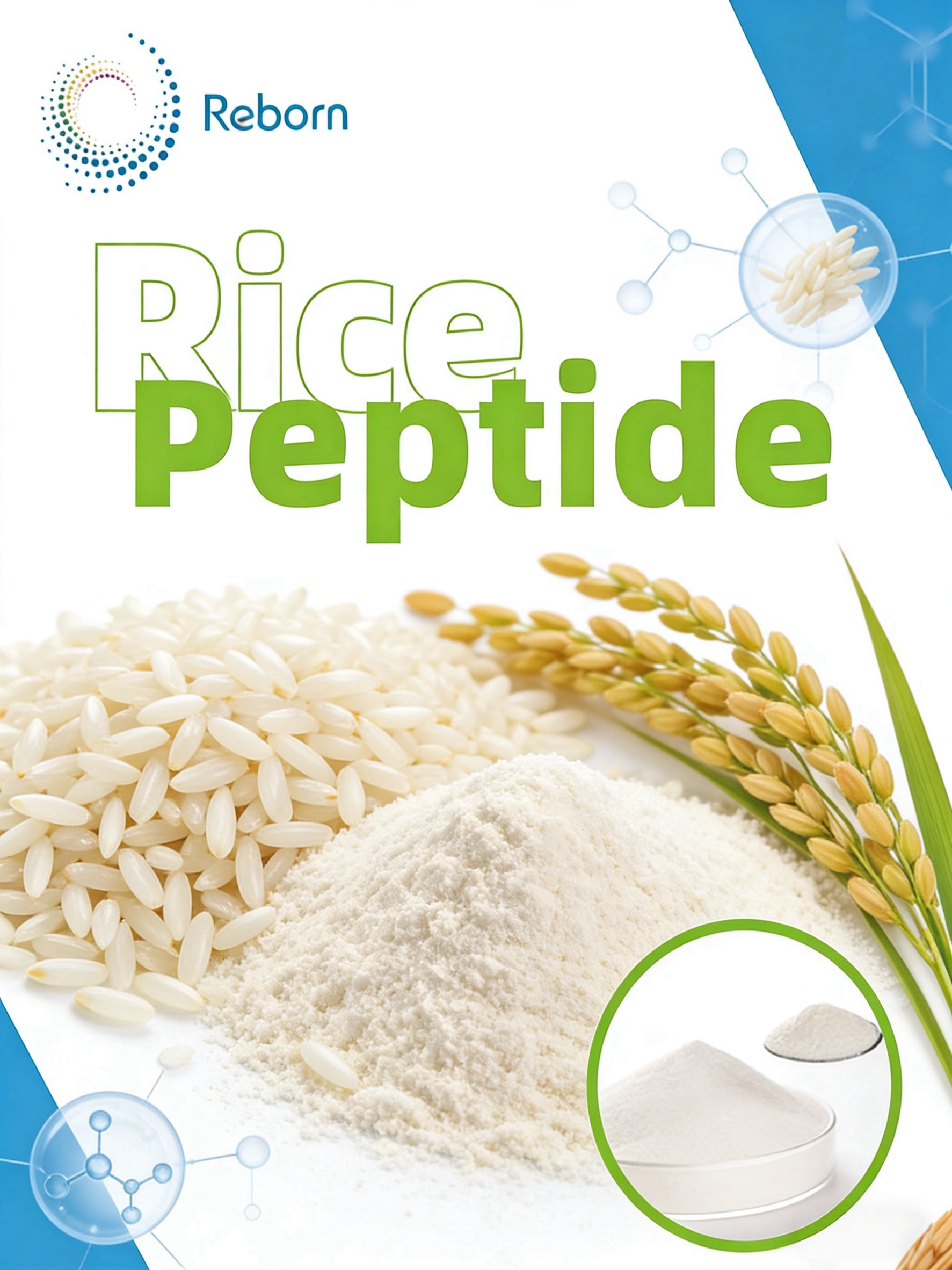 rice protein peptide
